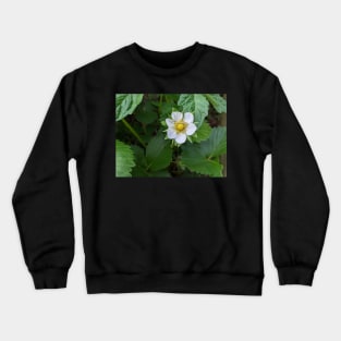 Strawberry Flower Crewneck Sweatshirt